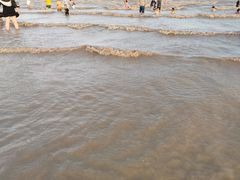 -碧海金沙