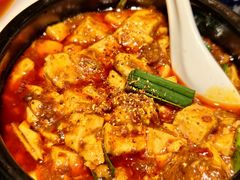 -陈麻婆豆腐总店