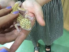 -藦茜花园宠物主题亲子互动体验馆(国顺东路店)