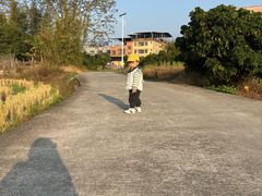 -森波拉奇妙世界