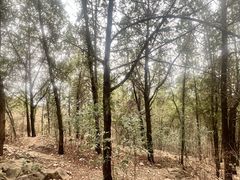 -云龙湖旅游景区