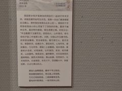 -四川美术馆