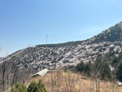 -妙峰山风景名胜区