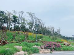 -青岛银沙滩