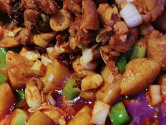 -俭寨大盘鸡·缸子肉·小公鸡·新疆菜(云通店)