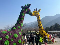 -西安秦岭野生动物园