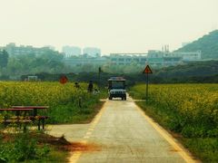 -光明小镇欢乐田园