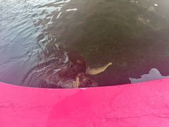 -北戴河圣蓝海洋公园