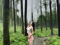 -洛阳白云山景区