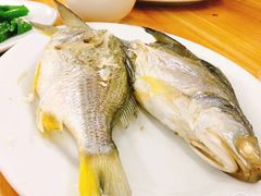 -长平老姿娘夜粥(平东一街店)