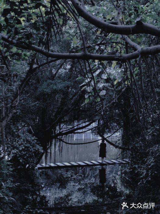 燕晗山郊野公园图片