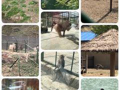 -新疆天山野生动物园