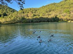 -广州白江湖森林公园