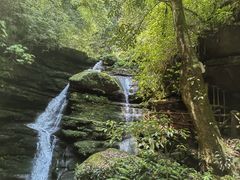 -碧峰峡风景区