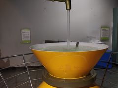 -陕西自然博物馆