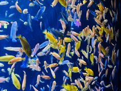 -成都浩海立方海洋公园