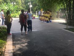 -晓港公园