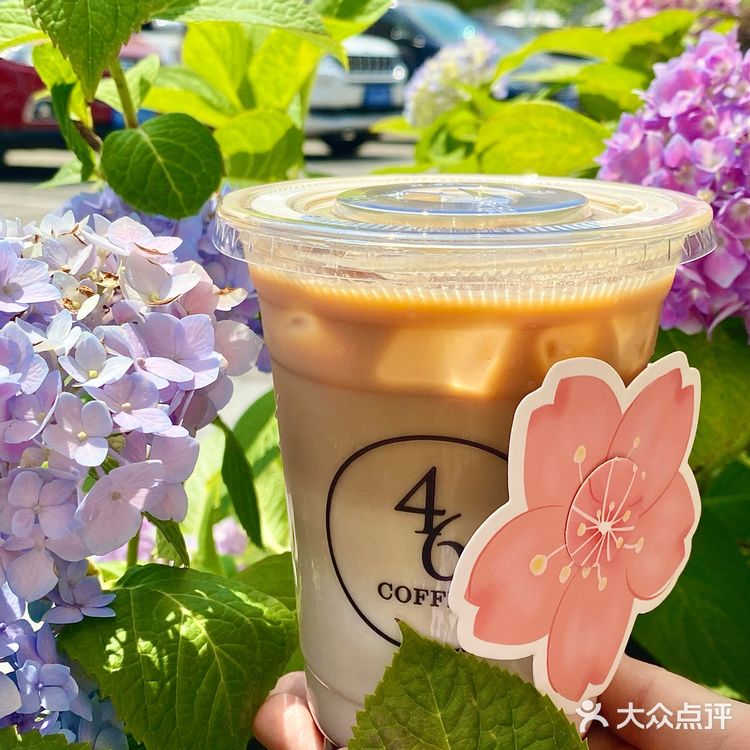 北京五道口‼️Share我的夏日森系咖啡馆🍃