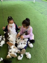 -萌宠亲子动物乐园(槐房万达店)