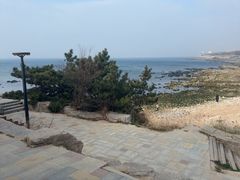 -海岛日记(养马岛店)