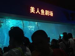 -福州罗源湾海洋世界旅游区