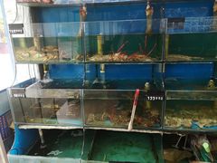 -东极岛海鲜