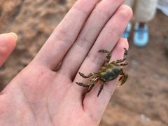 -青岛金沙滩