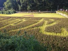 -韶山毛泽东同志故居