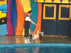 -海合安武汉极地海洋公园