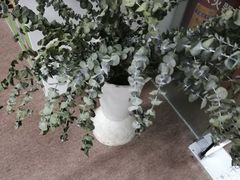 -五月木作·DIY木作文创体验店(北京路店)