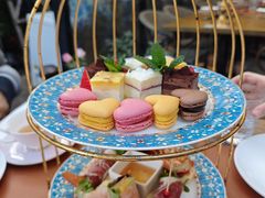 -Golden Lily河内巴黎法越料理餐厅(建国西路店)