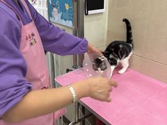 -北京观赏动物医院·24小时大型综合·猫专科·异宠专科