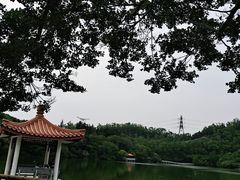 -深圳仙湖植物园