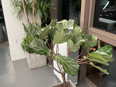 -优享健身(三元桥店)