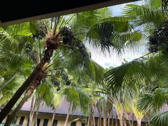 -海南清水湾莱佛士酒店