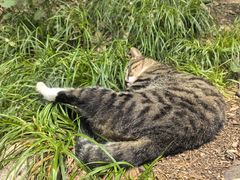 -沣峪森林公园龙潭戏水景区
