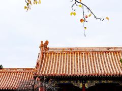 -故宫博物院(故宫)