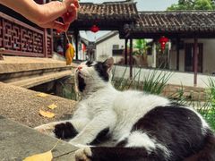 -锦溪古镇