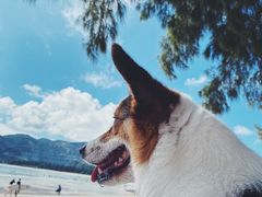 -后海村
