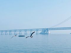 -星海湾跨海大桥