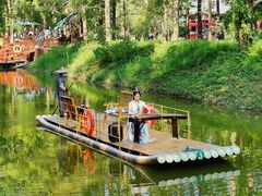 -黄海国家森林公园