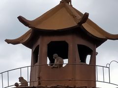 -昆明动物园