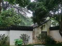 -秋霞圃
