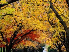 -八大关景区