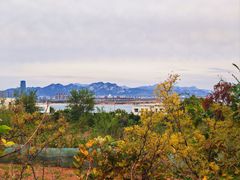 -养马岛旅游度假区