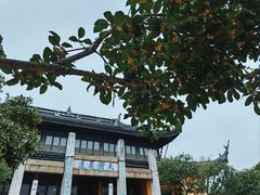 -红梅公园