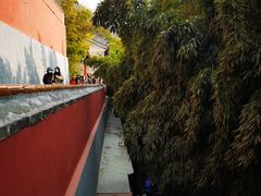 -潭柘寺景区
