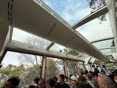 -山顶缆车