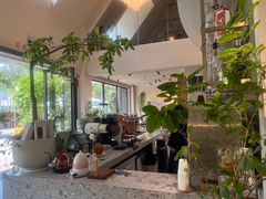 -花神·轻食简餐·咖啡馆·花卉绿植(荷兰花卉小镇店)