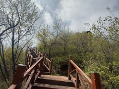 -大岭沟猕猴桃谷风景区